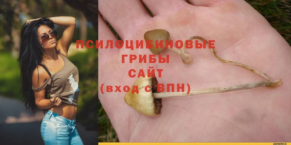 СК Беломорск
