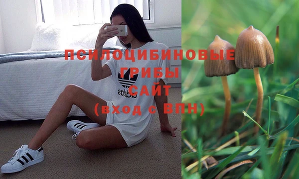 круглые Каменногорск