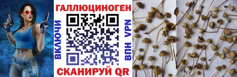 Галлюциногенные грибы Magic Shrooms  наркотики  Купино 